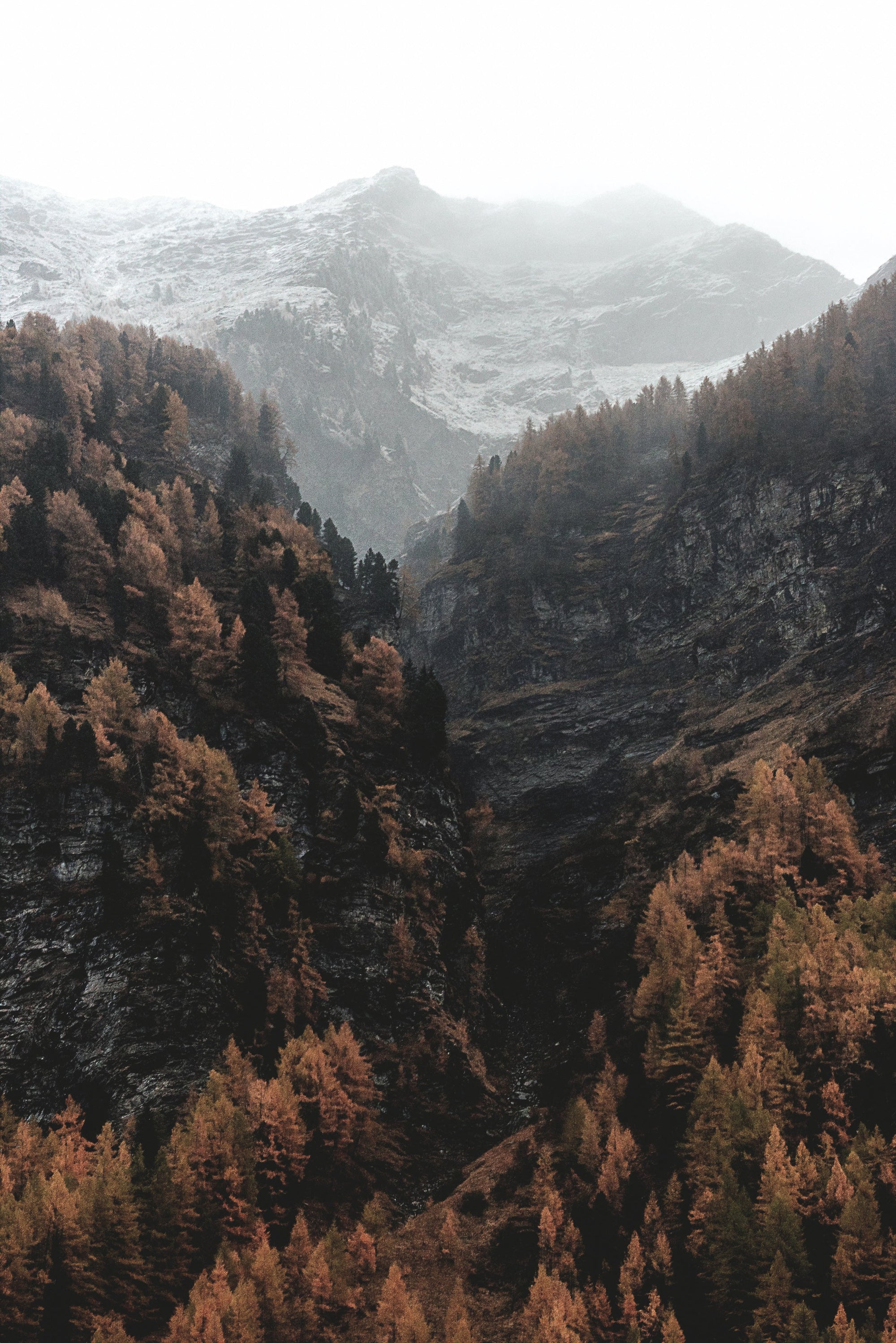A misty mountain landscape with autumn foliage