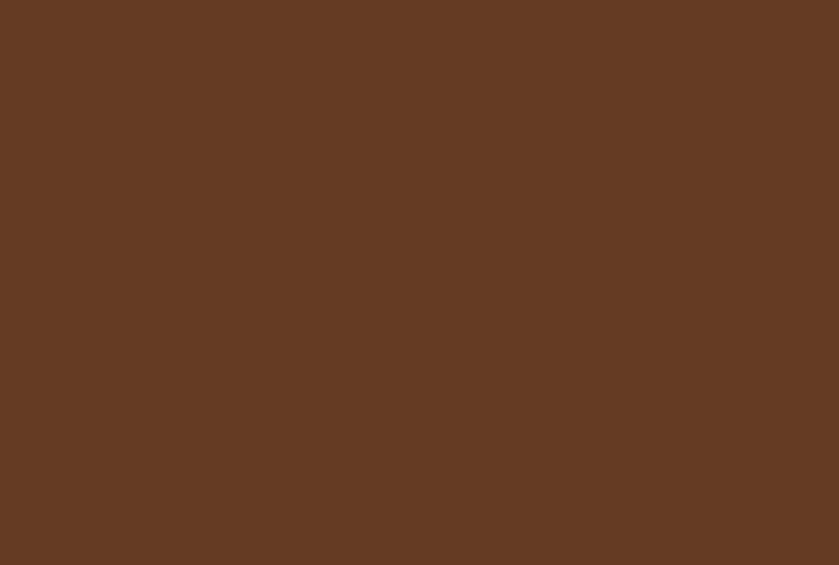Solid warm brown color swatch representing the Terra collection.