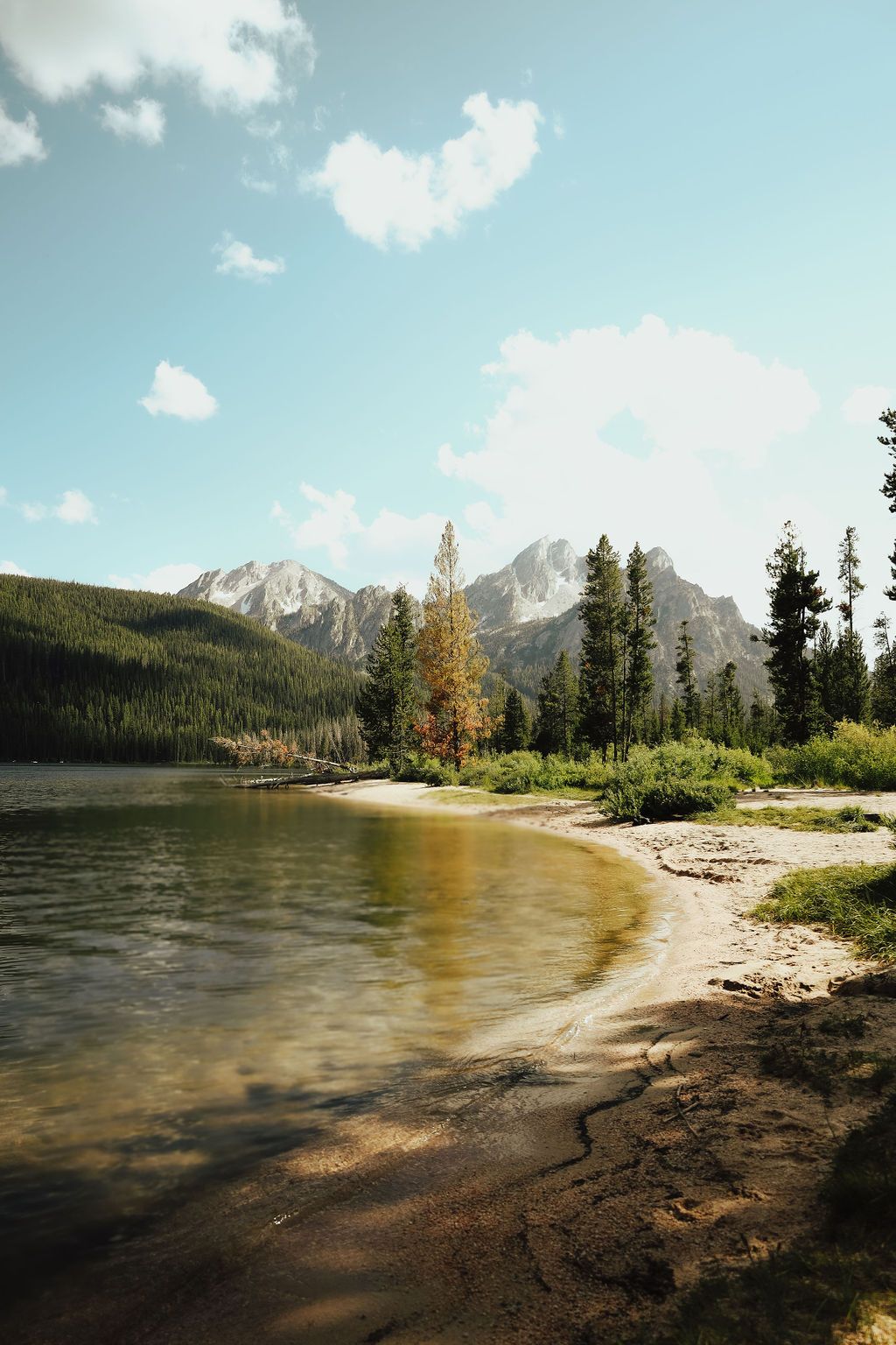 Sandy shoreline where calm lake waters meet a pine forest with rocky mountain peaks under a pale blue sky