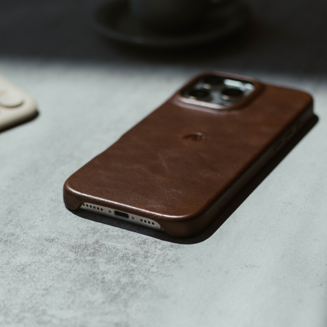 The Minimalist Case - TERRA