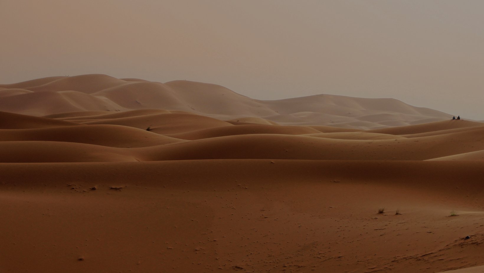 A vast desert landscape with rolling sand dunes under a hazy sky.