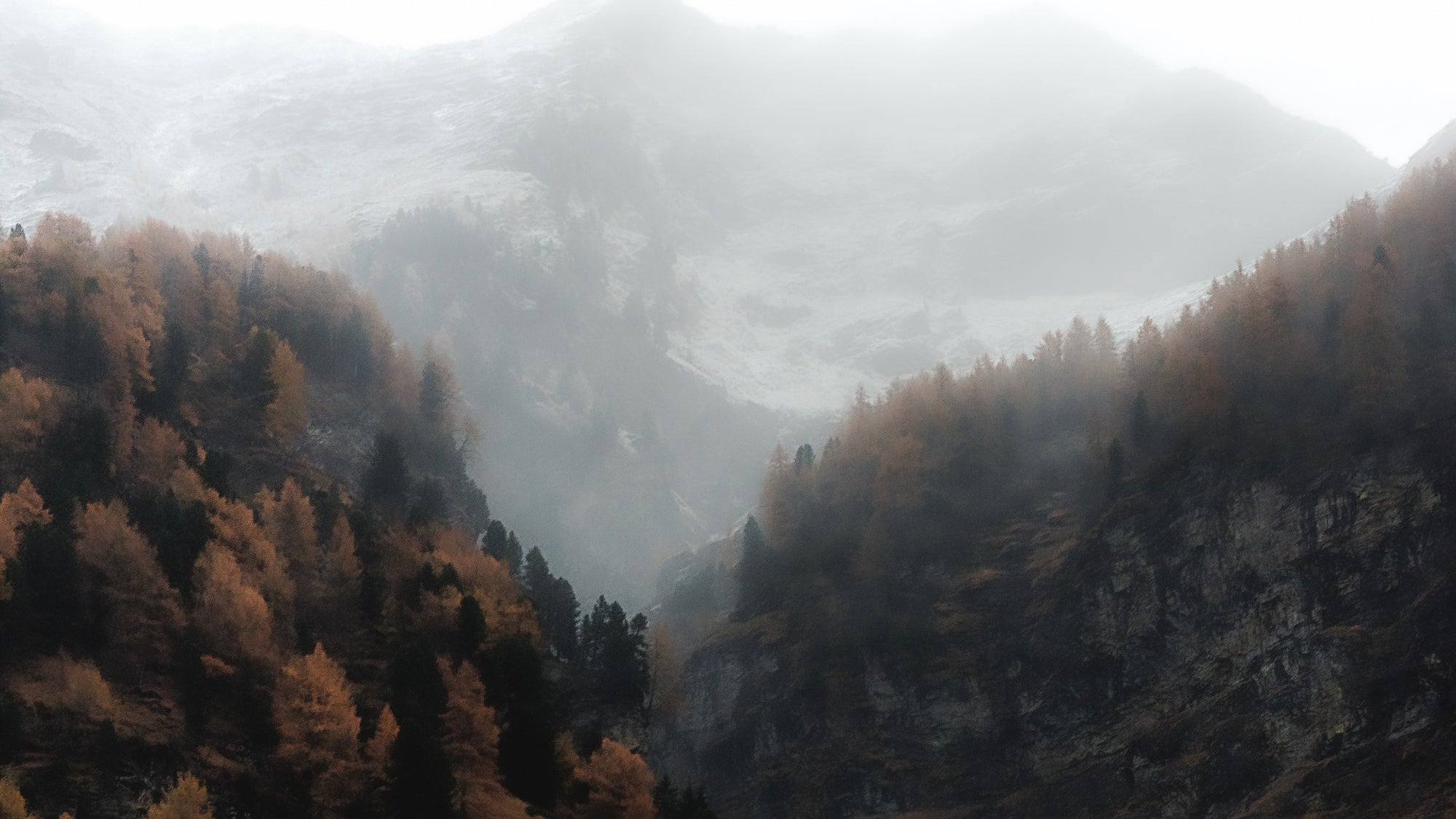 Foggy mountain landscape with autumn trees