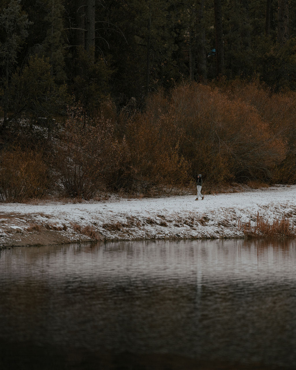 A person walking along a snowy shore with trees in the background