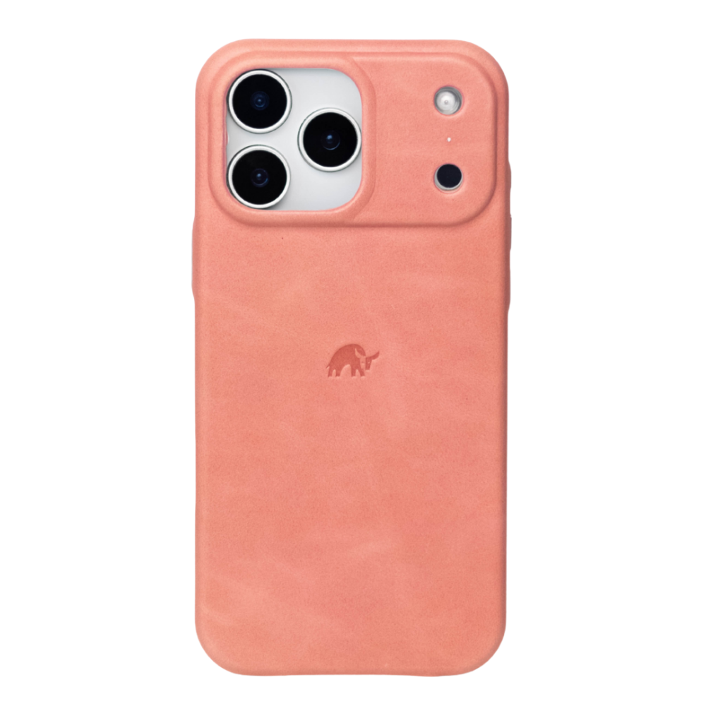 The Minimalist Case | SOUTH BEACH