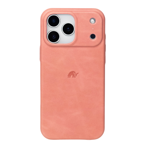 The Minimalist Case | SOUTH BEACH