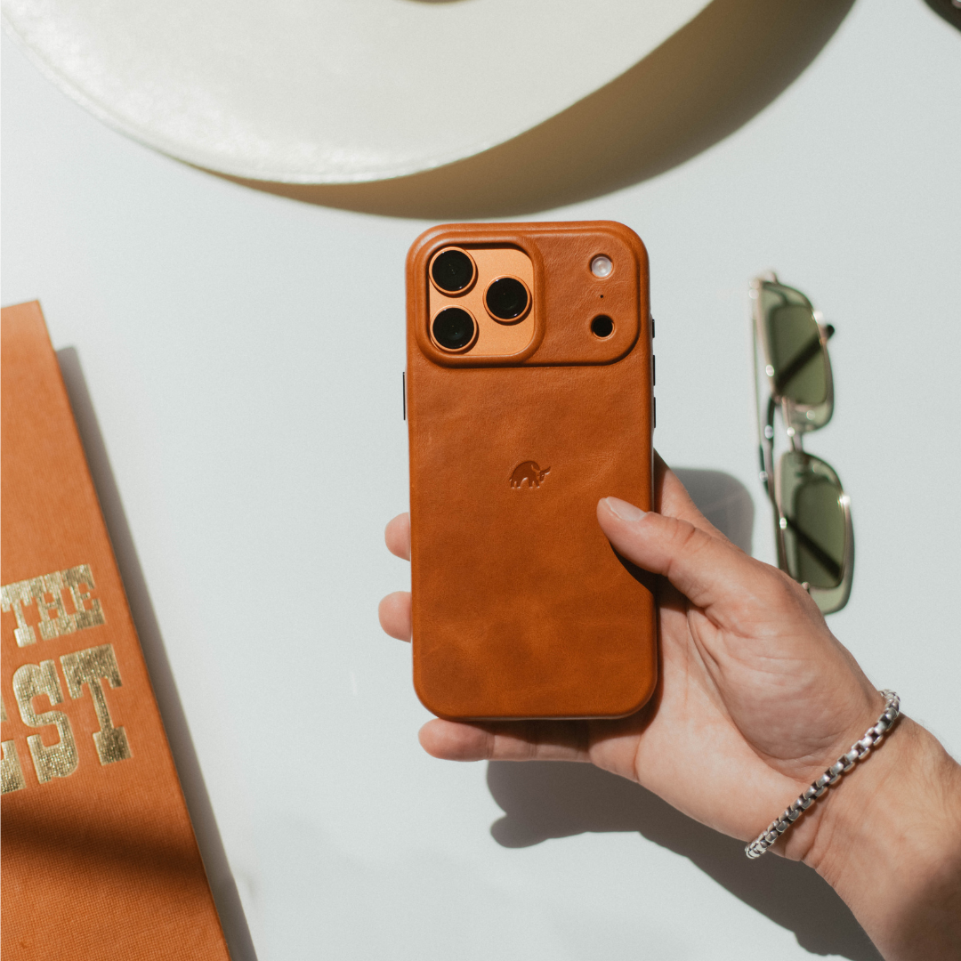 The Minimalist Case - SIENNA