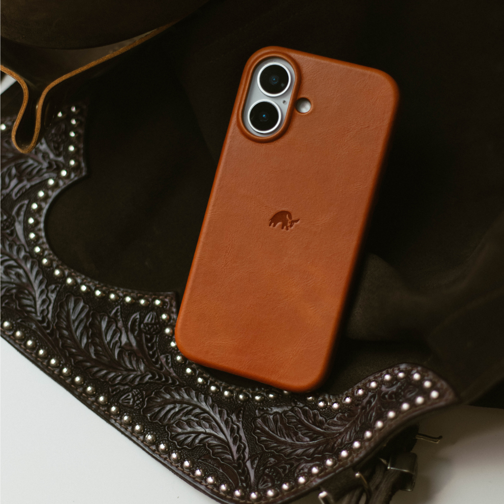 The Minimalist Case - SIENNA