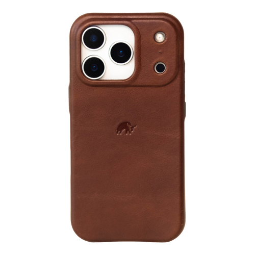 The Minimalist Case | TERRA