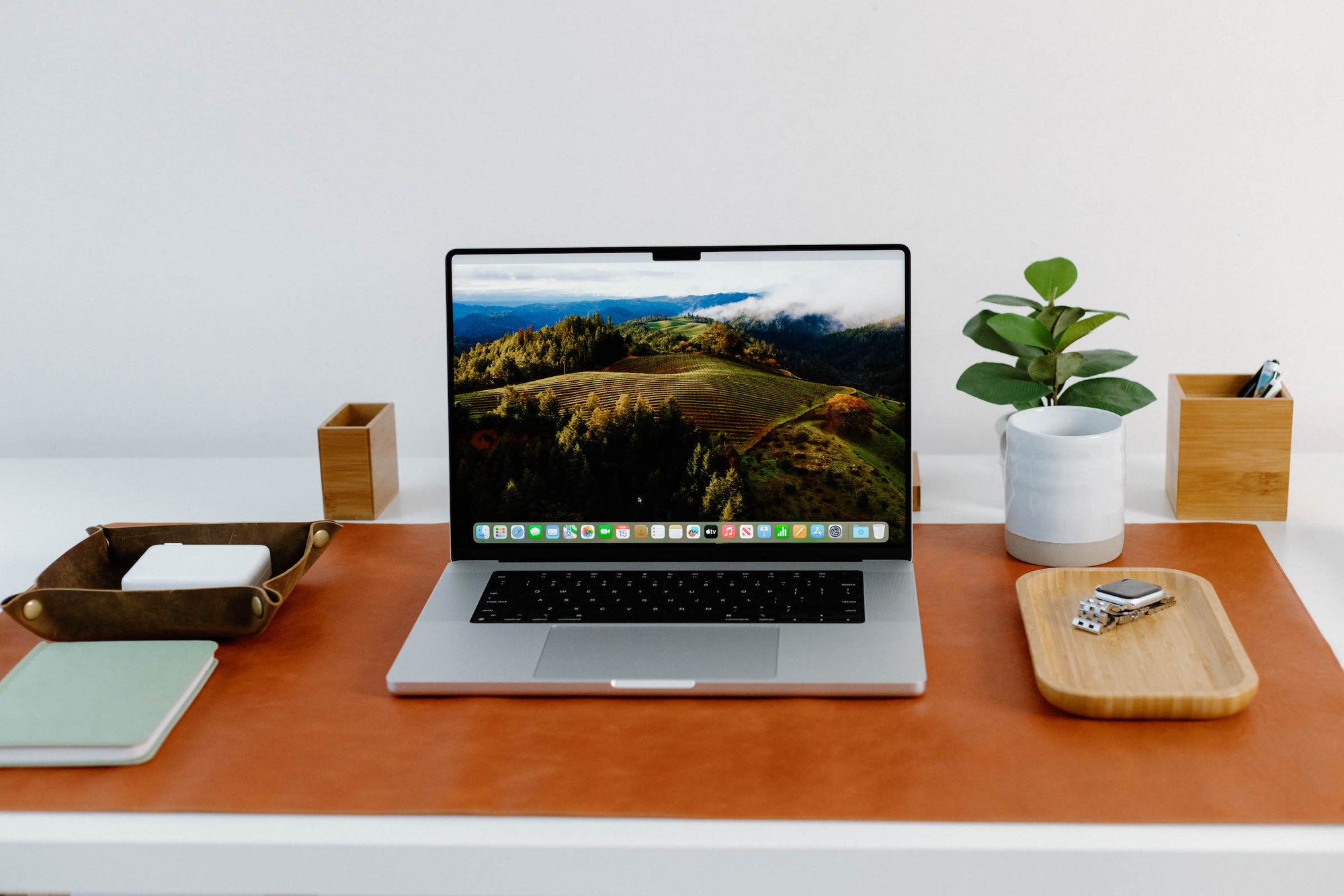Laptop on a tidy desk with leather pad, plant, notebook and wooden tray holding a watch; screen shows hilly landscape.