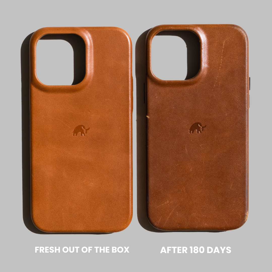 The Minimalist Case - SIENNA