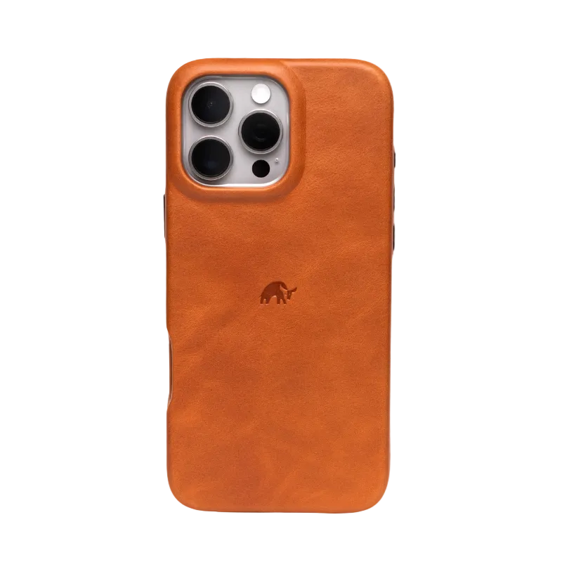 The Minimalist Case - SIENNA