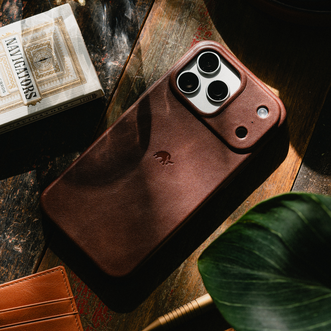 The Minimalist Case - TERRA