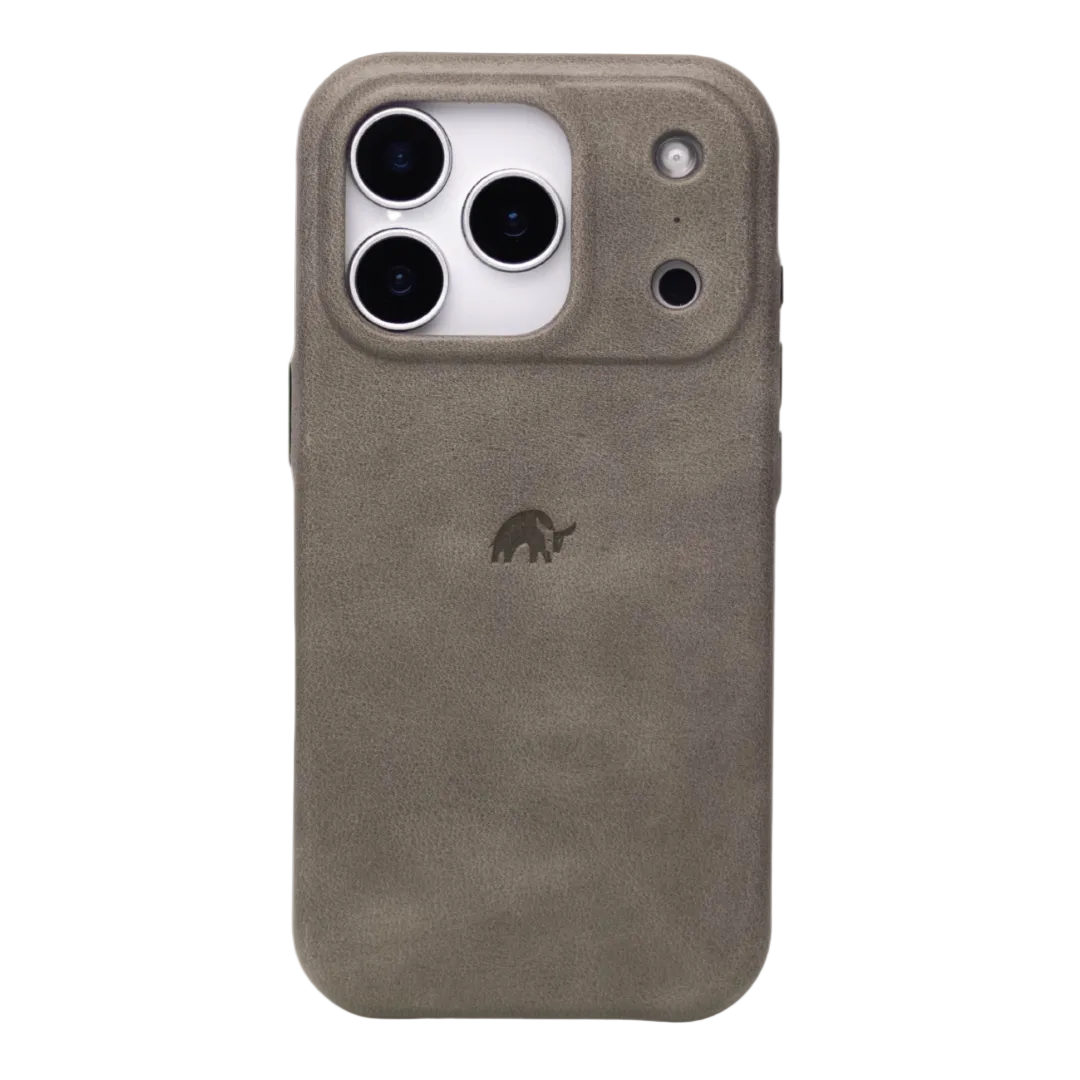 The Minimalist Case The Minimalist Case