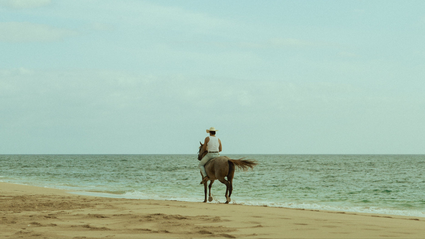 Rider in a white tank top and cowboy hat riding a horse along a calm beachfront, viewed from behind