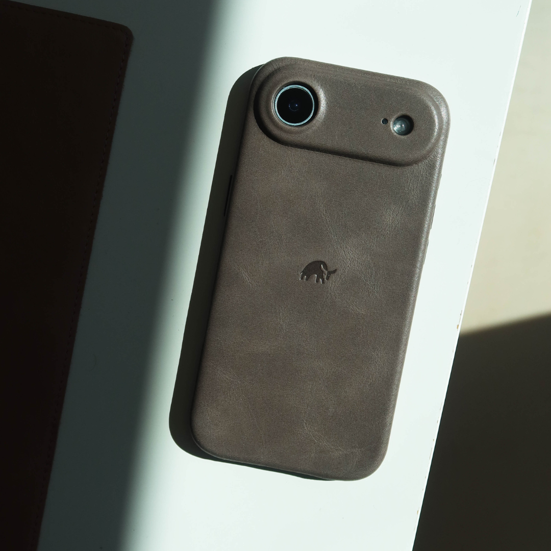 The Minimalist Case The Minimalist Case