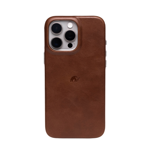 The Minimalist Case - TERRA