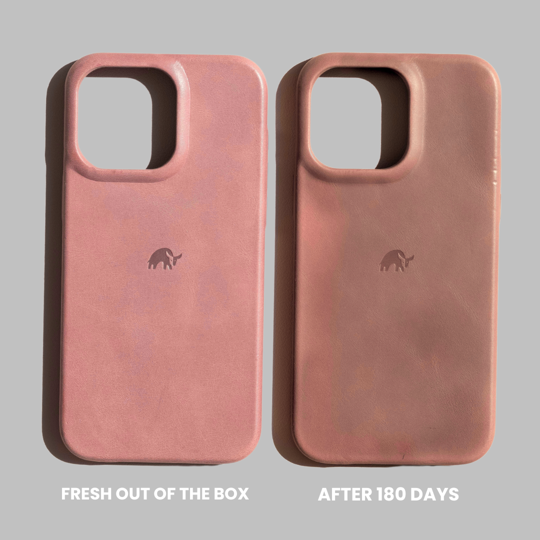 The Minimalist Case - SOUTH BEACH