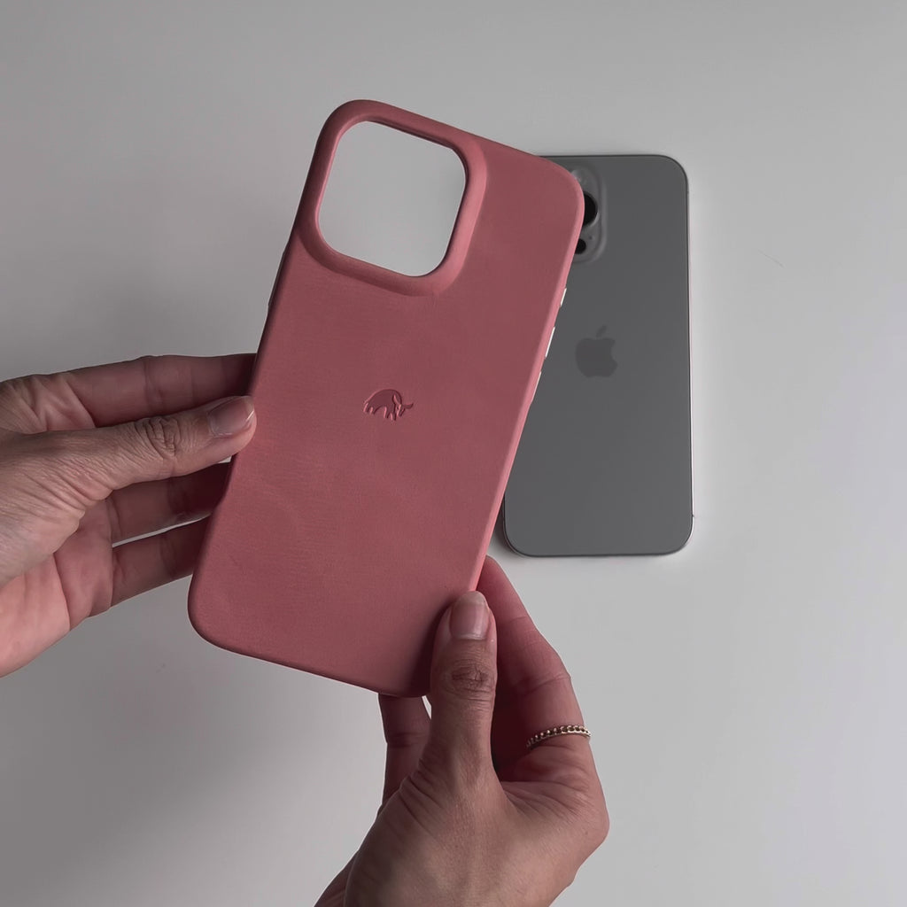 The Minimalist Case - SOUTH BEACH