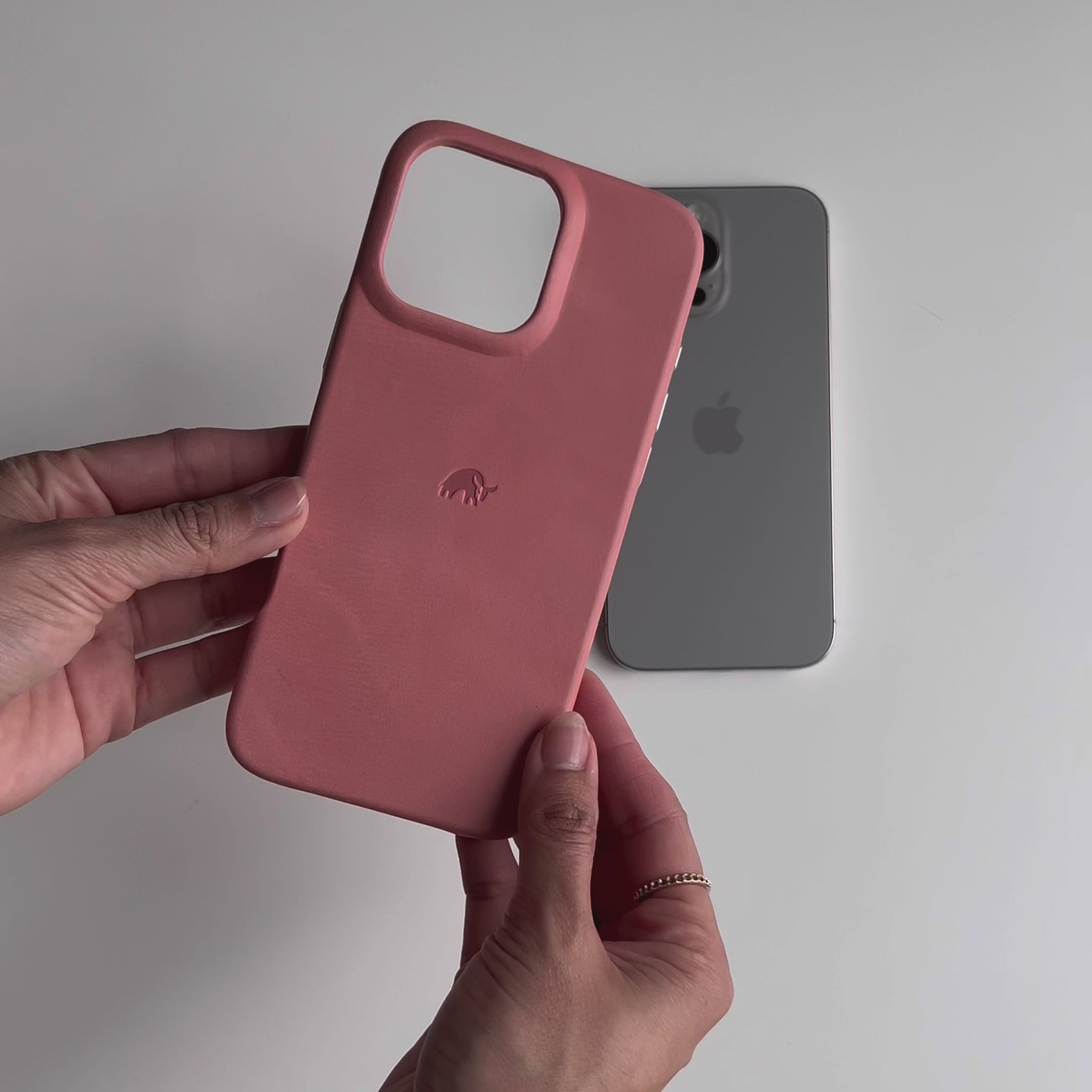 The Minimalist Case - SOUTH BEACH