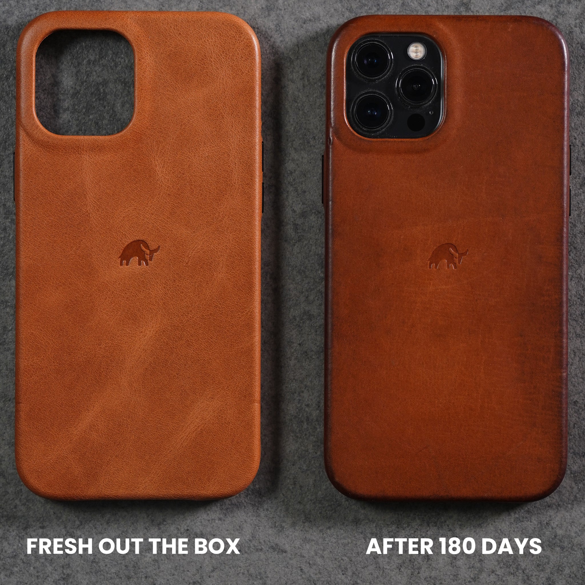 Classic iPhone Cases - Sienna